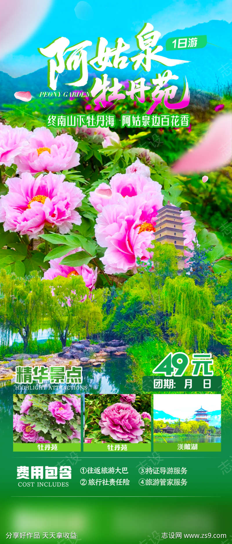 赏牡丹苑旅游海报