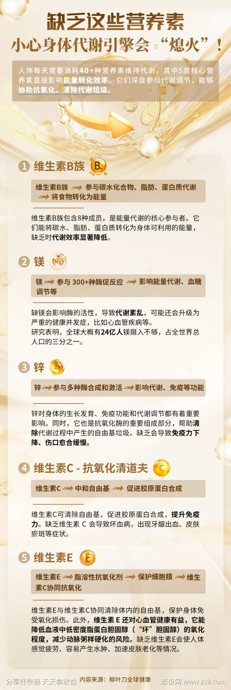 身体代谢健康海报