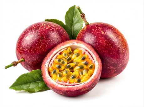 超写实彩铅画百香果