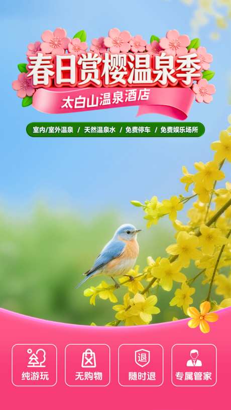 太白旅游直播背景