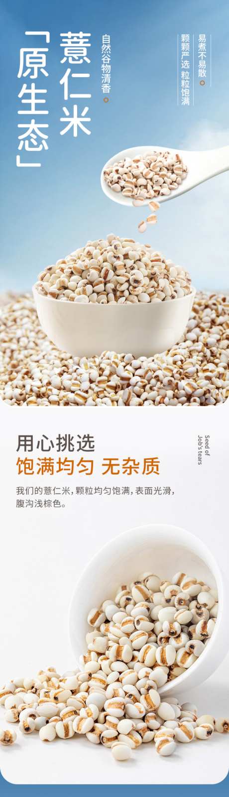 杂粮薏仁米详情页_源文件下载_PSD格式_790X10300像素-农产品,薏米,薏仁-作品编号:2026041109374756-志ˉ设˯网