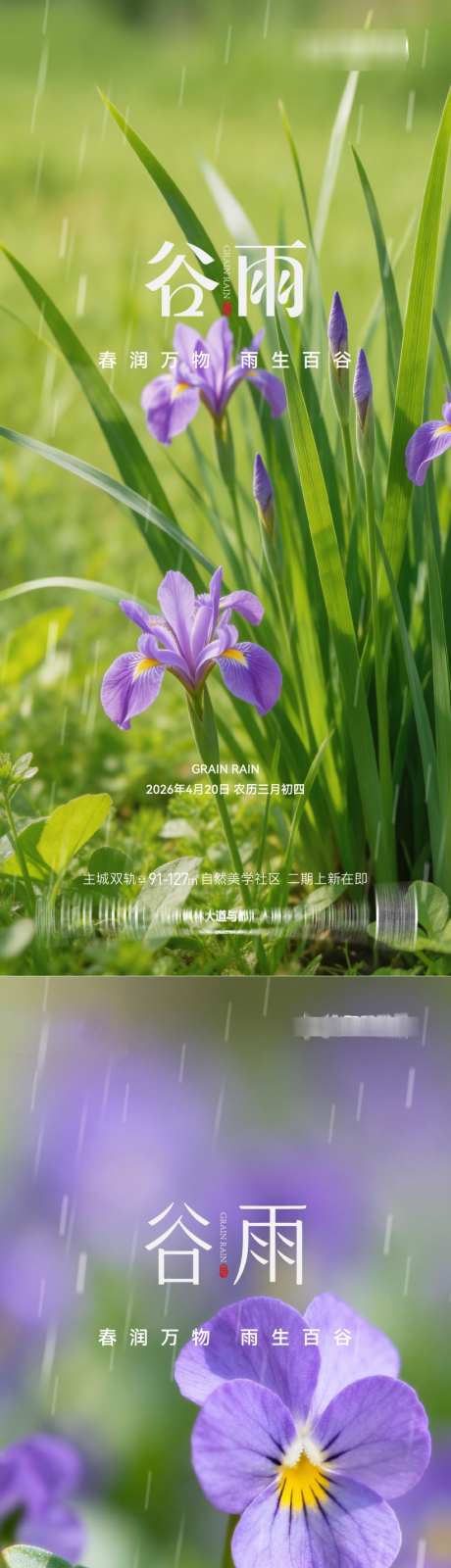 谷雨节气节日海报