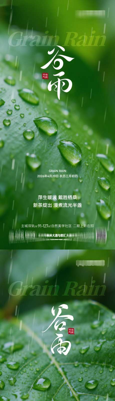 谷雨节气节日海报