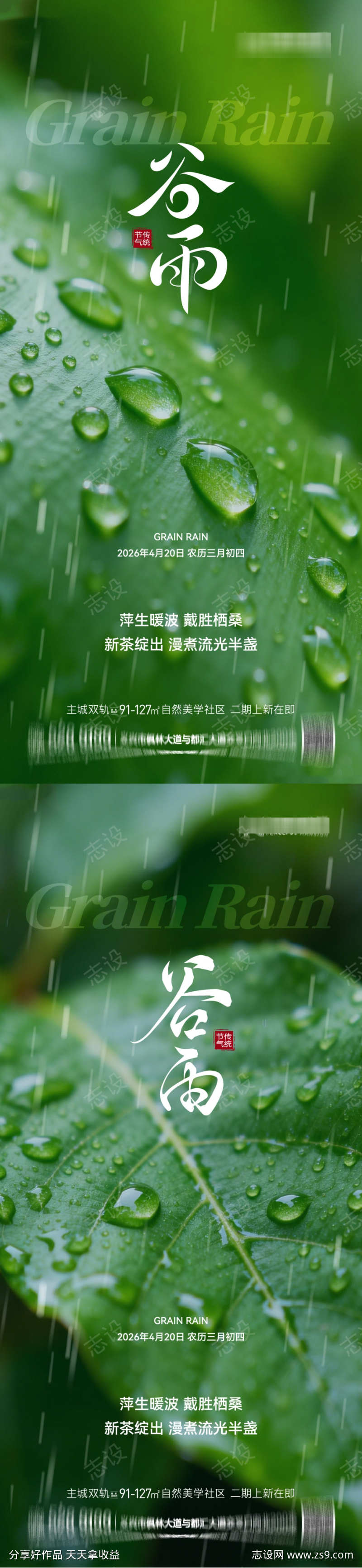 谷雨节气节日海报