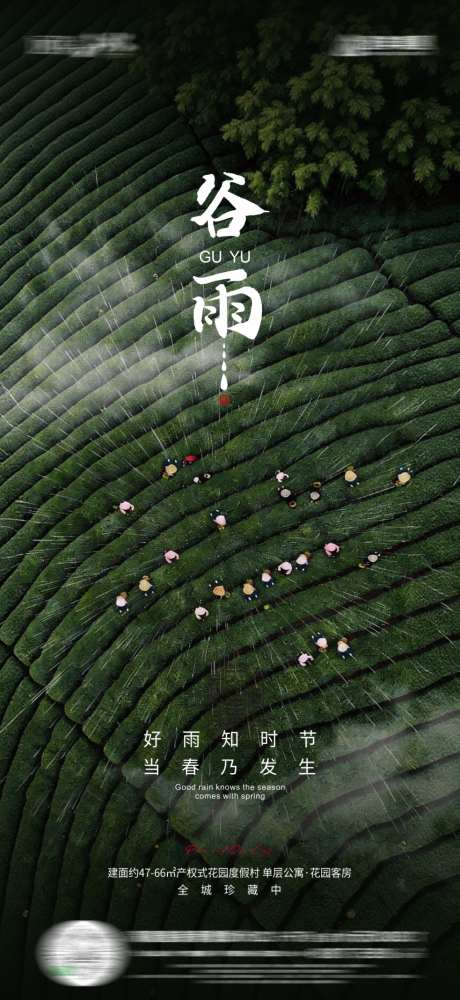 节气谷雨海报