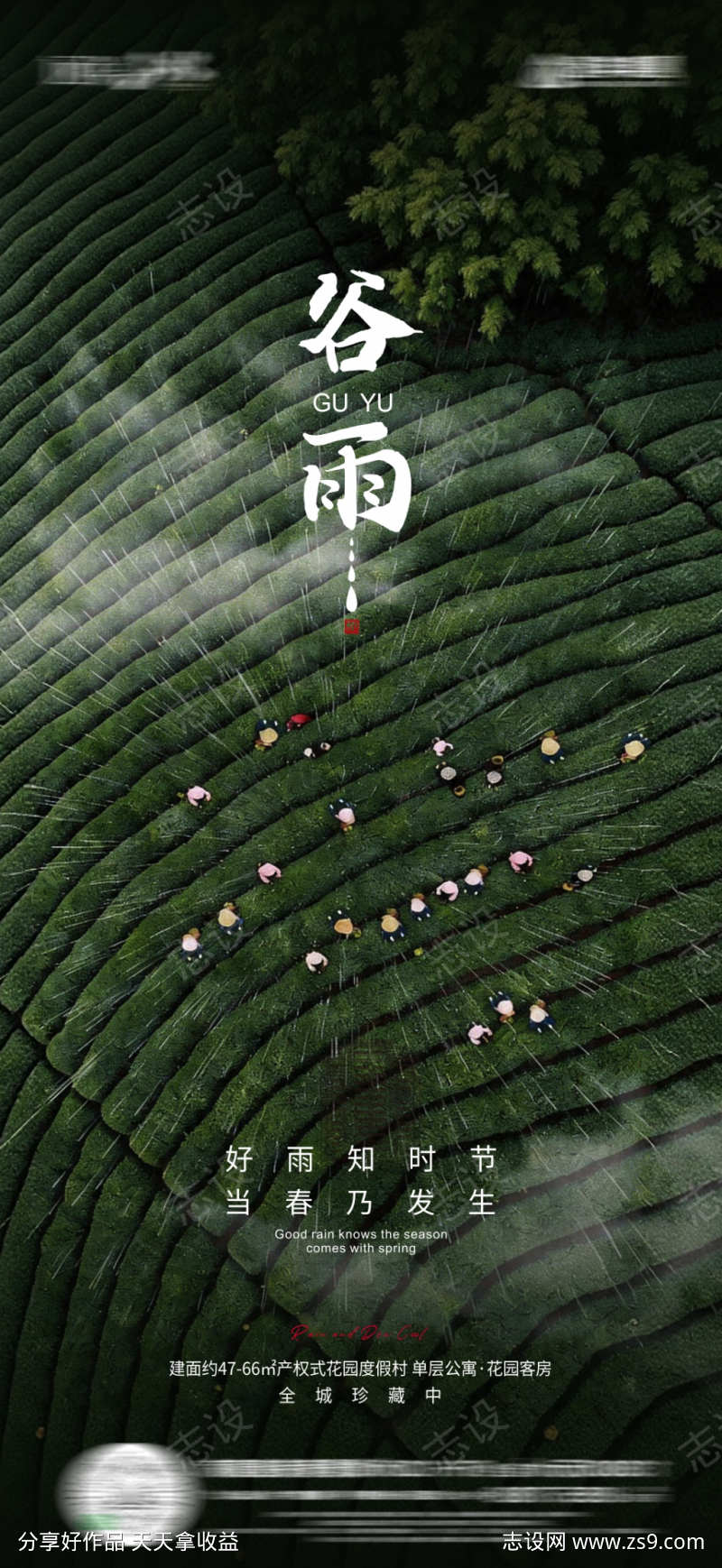 节气谷雨海报