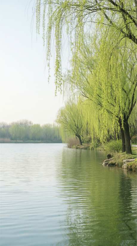 春日湖畔垂柳治愈图_AI图片下载_euler采样_2284X4094像素-唯美,配图,背景-作品编号:2026041609548762-志,设˰网
