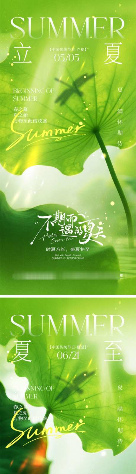 立夏夏至宣传海报_源文件下载_PSD格式_1024X4452像素-蜻蜓,夏天,荷叶-作品编号:2026041613496045-志˯设˒网