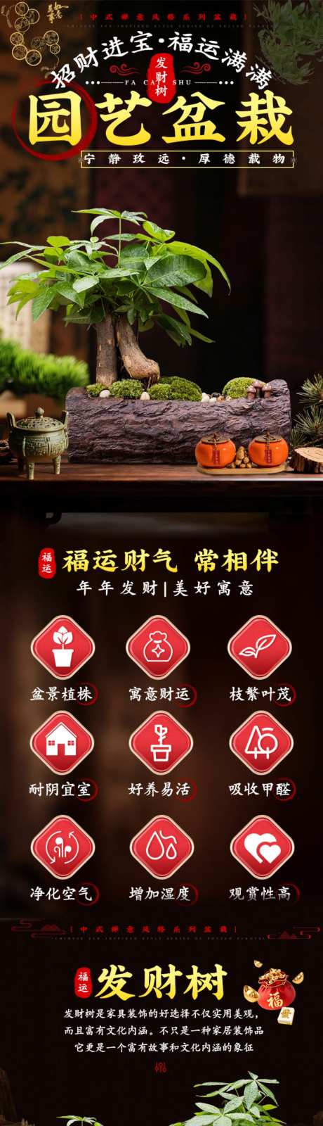 盆栽发财树_源文件下载_PSD格式_1024X13317像素-盆栽,花卉,绿植-作品编号:2026041815541706-志·设ˉ网