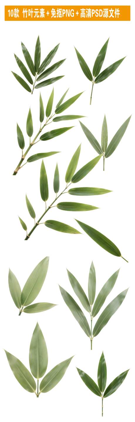 10款竹叶元素免抠PNG高清PSD源文件