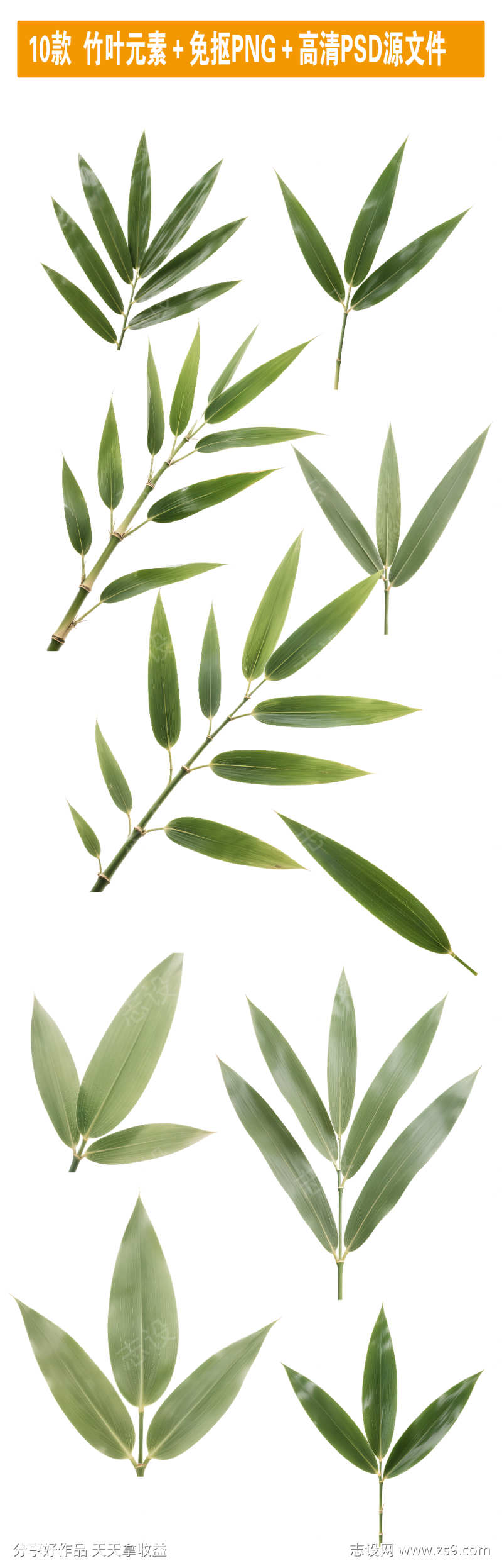 10款竹叶元素免抠PNG高清PSD源文件