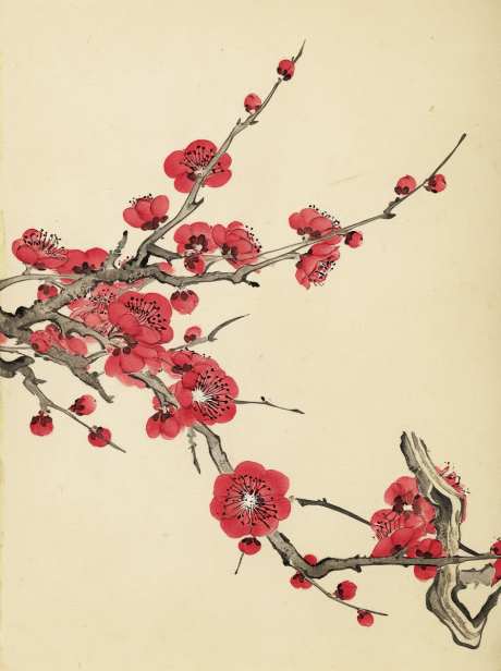 国画工笔红梅图