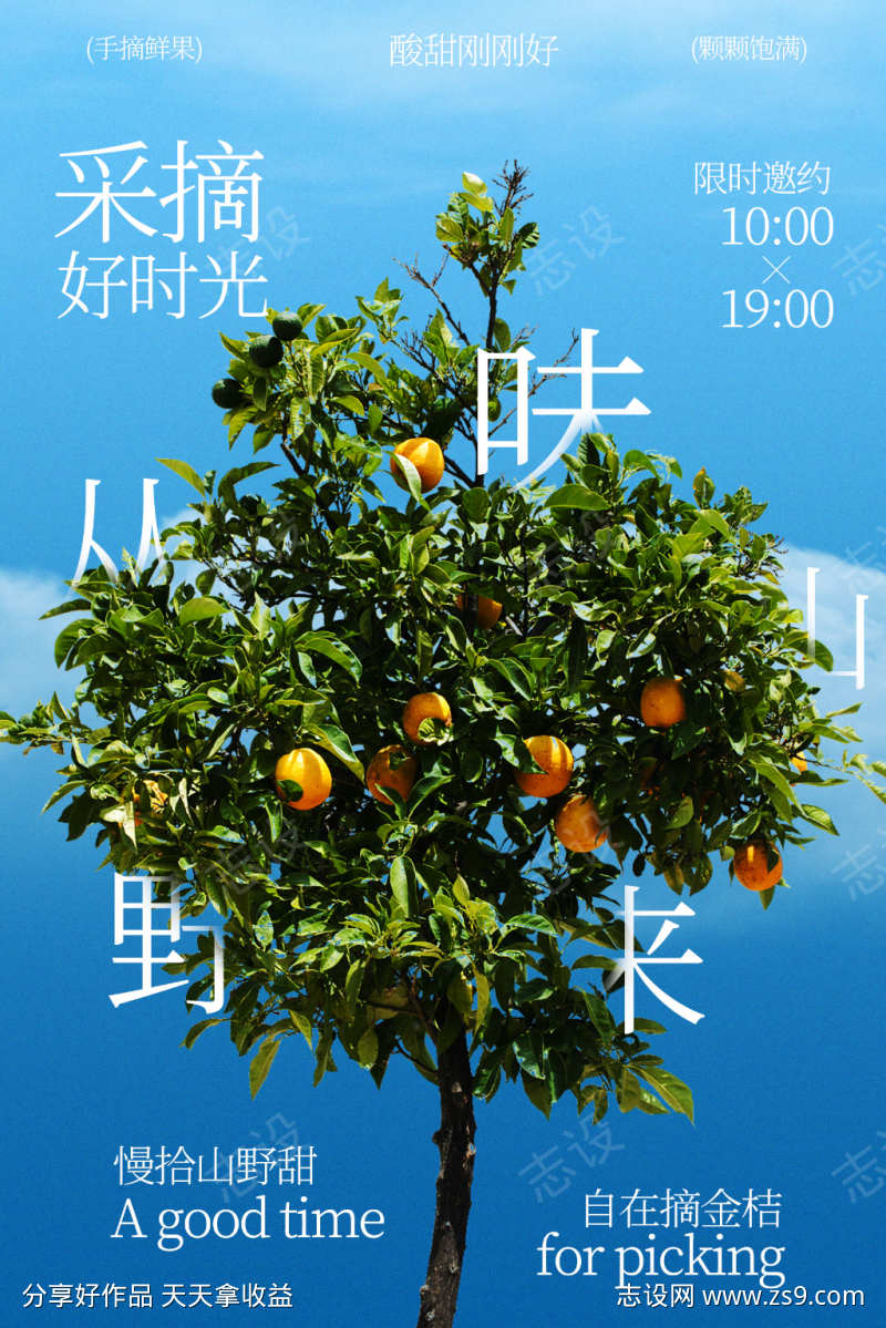 田园橘子采摘好时光