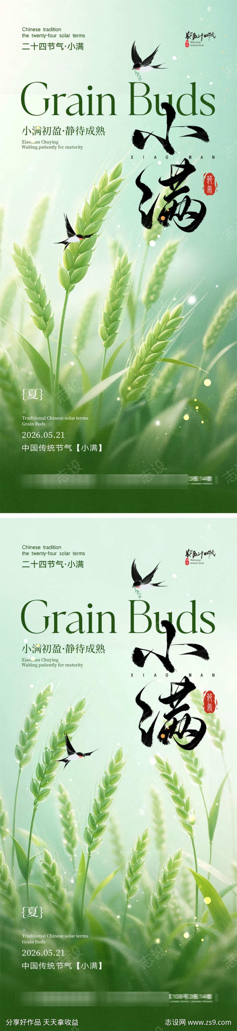 小满节气宣传海报