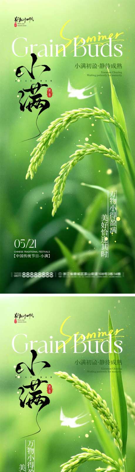 小满节气宣传海报