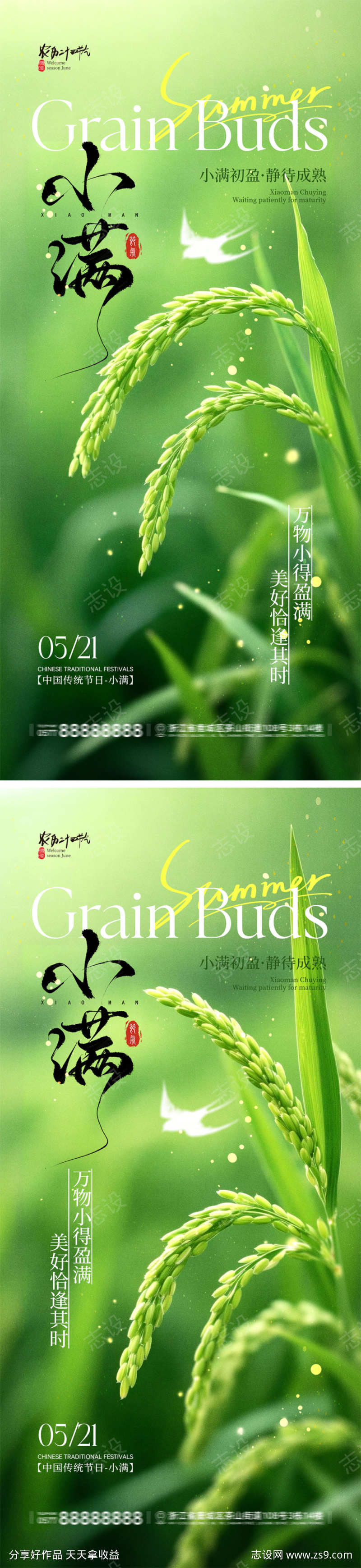 小满节气宣传海报