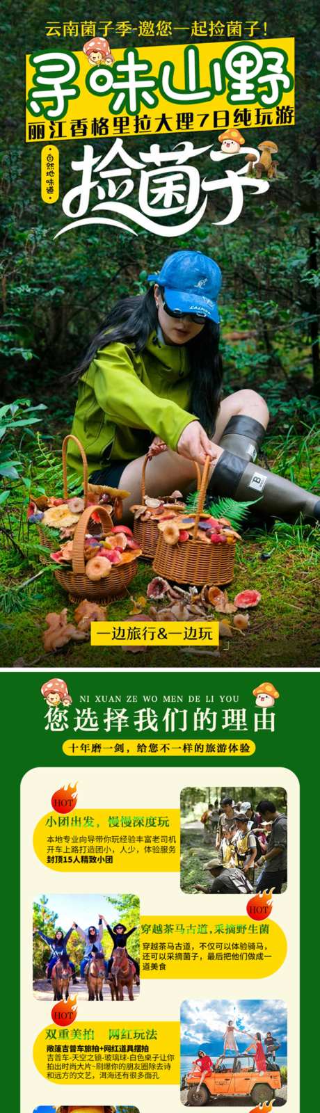 寻味山野捡菌子