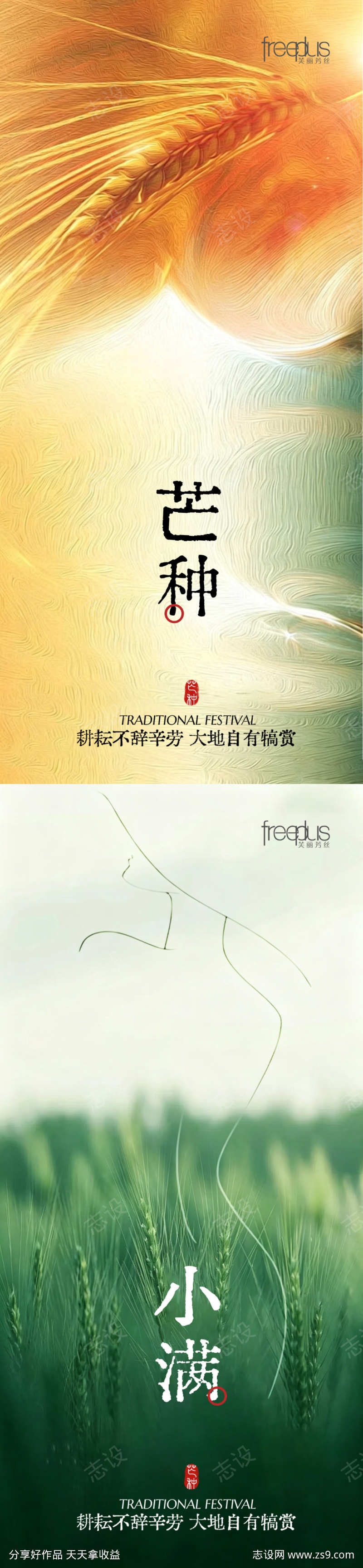 芒种小满节气海报