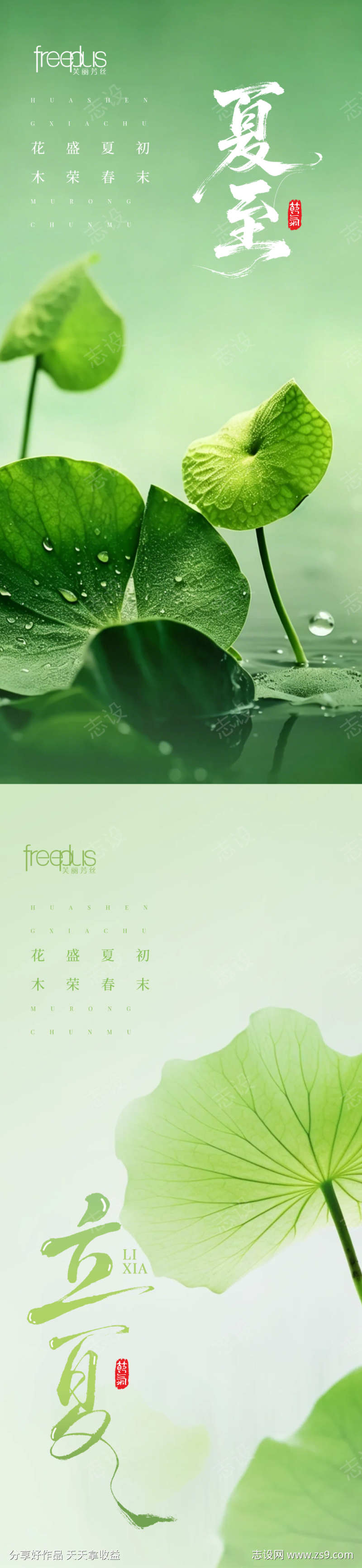 夏至节气海报