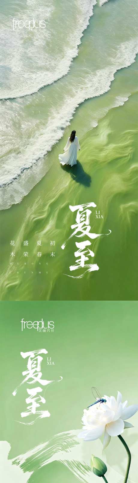 夏至节气海报
