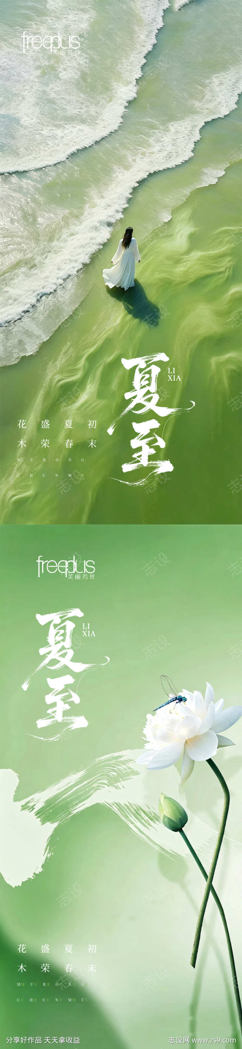 夏至节气海报