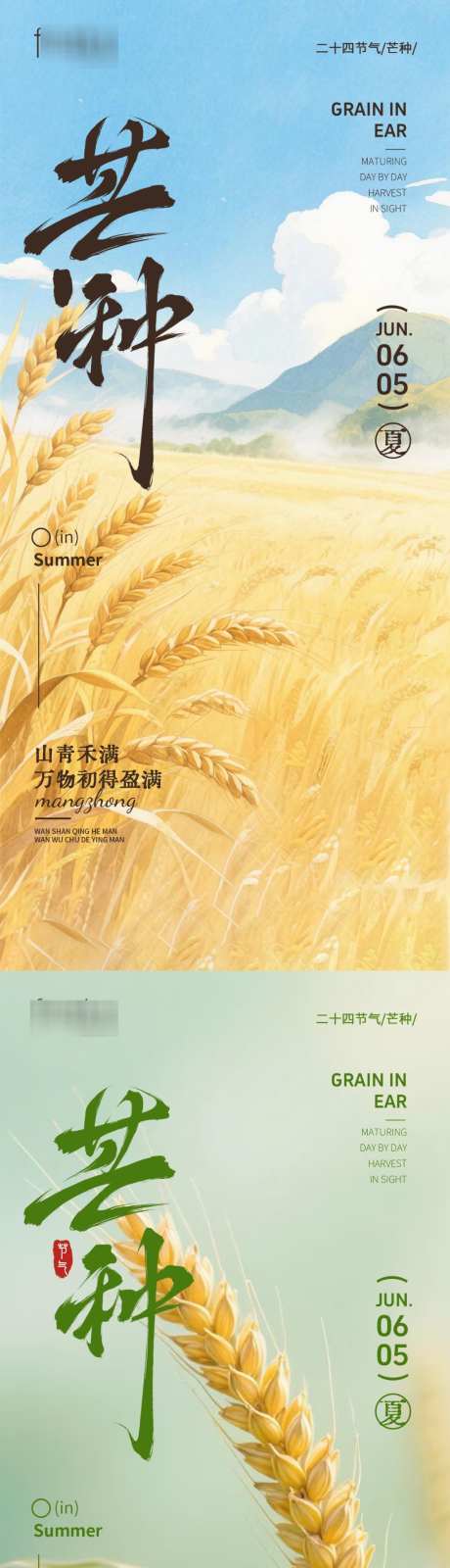 芒种节气海报