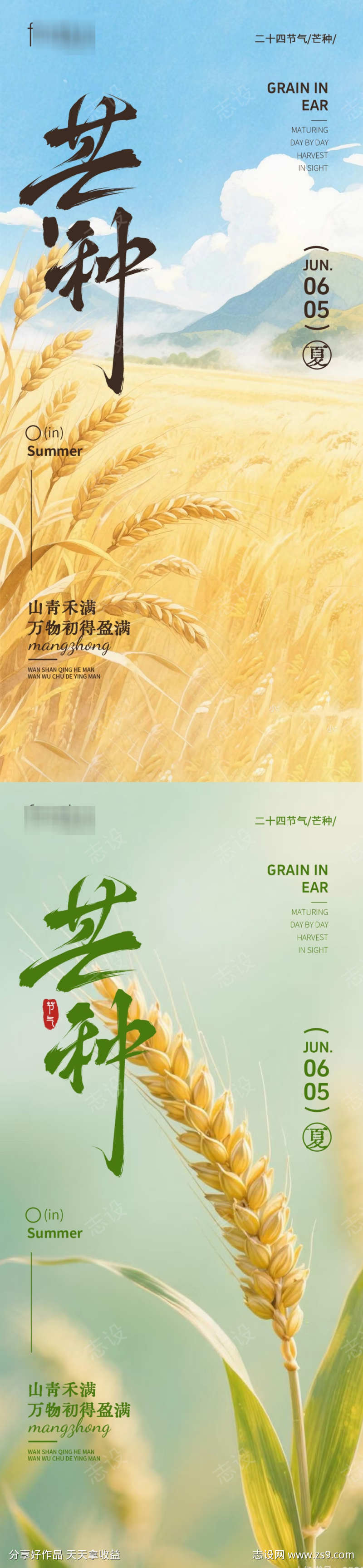 芒种节气海报