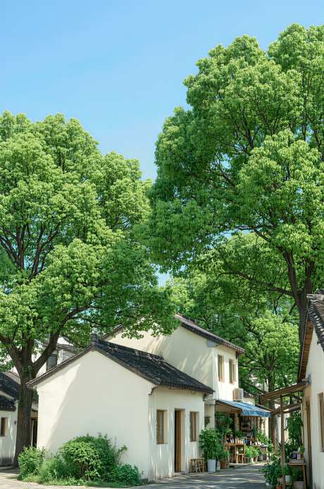 江南建筑艺术