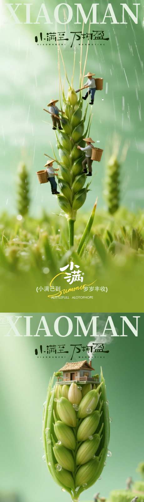 小满节气创意报设计_源文件下载_PSD格式_1024X4437像素-水稻,小满,元素-作品编号:2026050913578017-志`设˜网