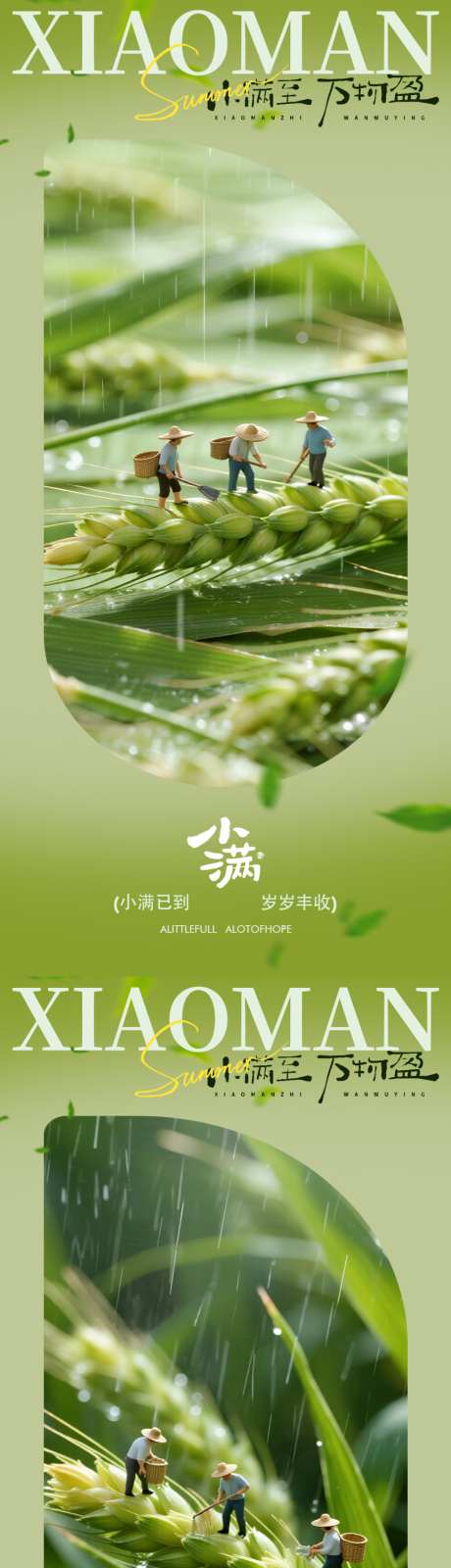 小满清新节气海报设计