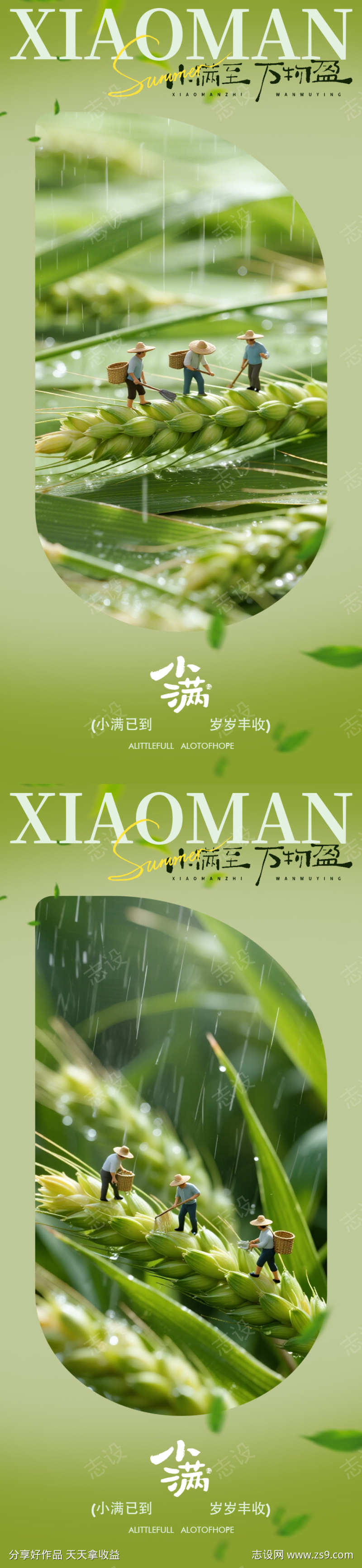 小满清新节气海报设计