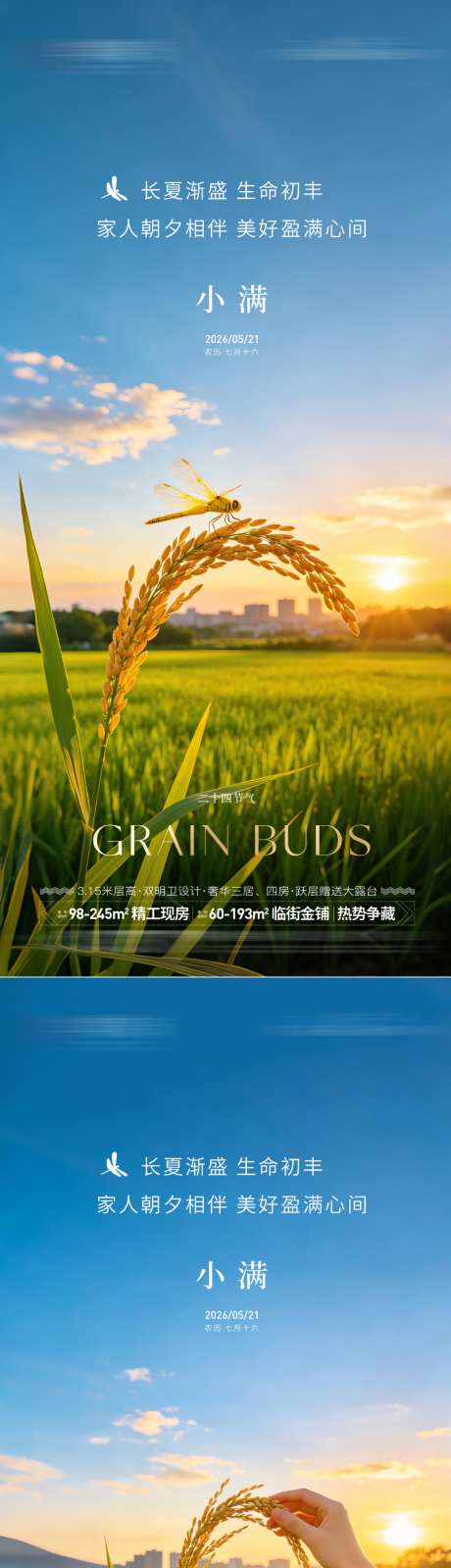 地产小满节气海报_源文件下载_PSD格式_1024X2218像素-麦田,麦穗,小满-作品编号:2026050913596133-志`设˜网