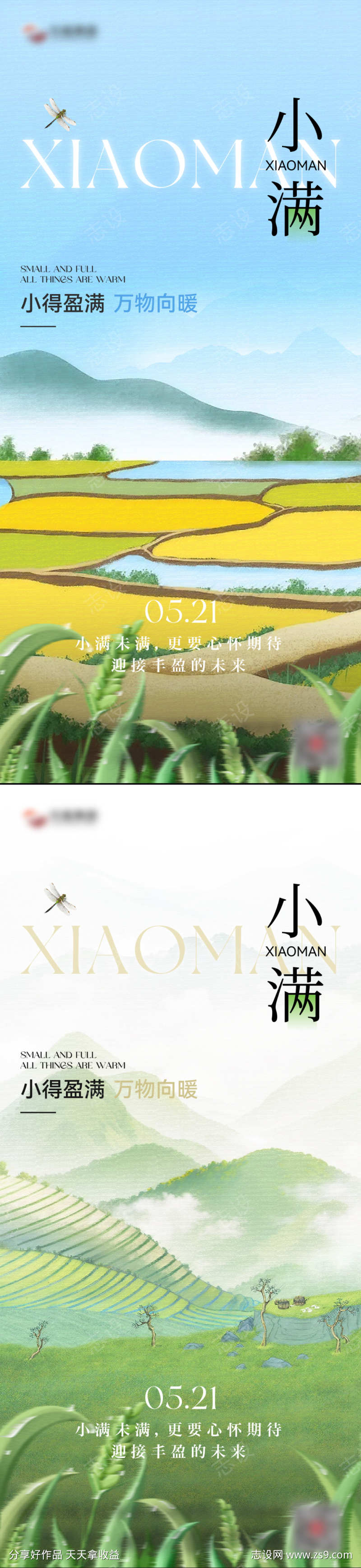 小满节气海报