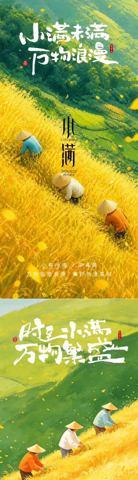 小满节气系列海报