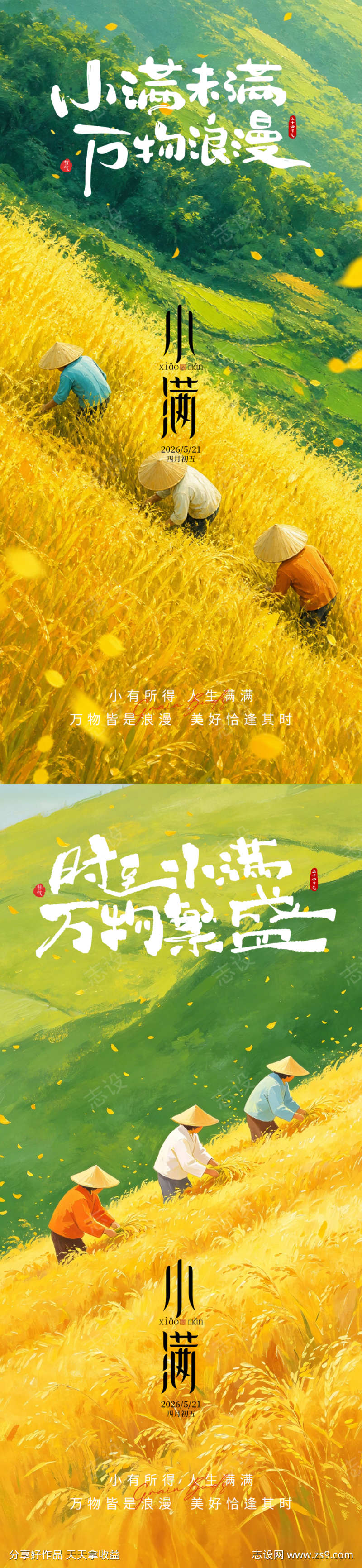 小满节气系列海报