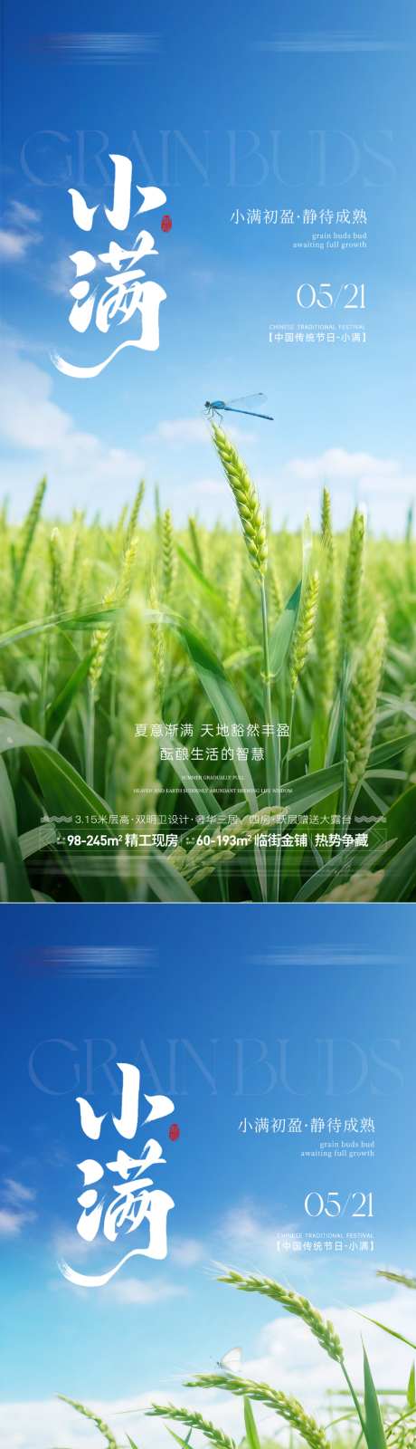 地产小满节气海报_源文件下载_PSD格式_1024X2218像素-夏日,麦田,麦穗-作品编号:2026050914514127-志′设‛ۛ网