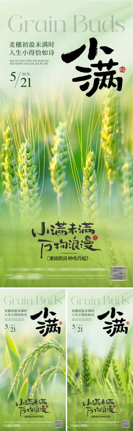 小满节气海报