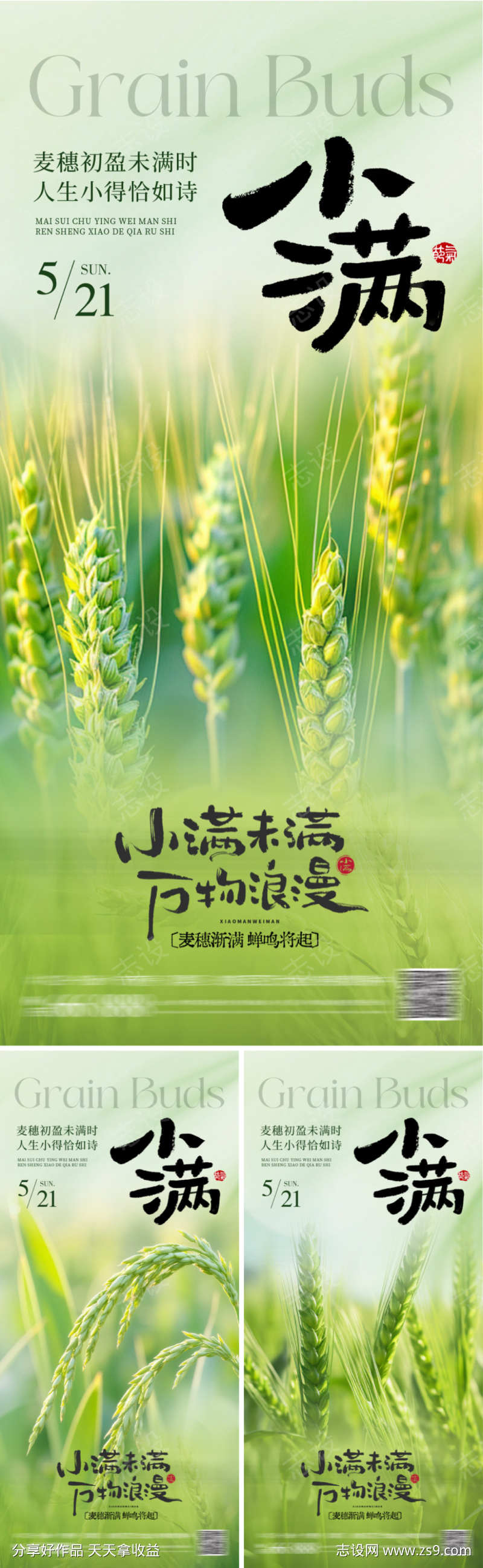 小满节气海报