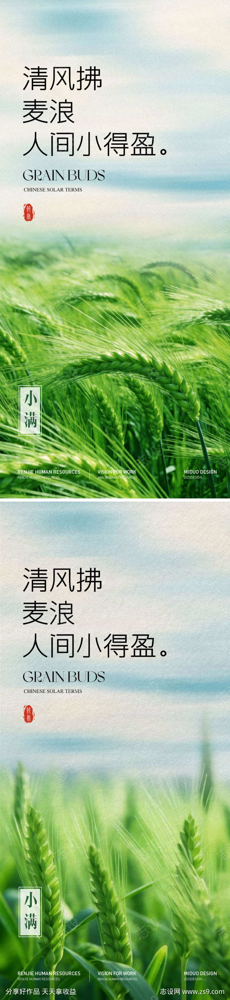 小满节气海报