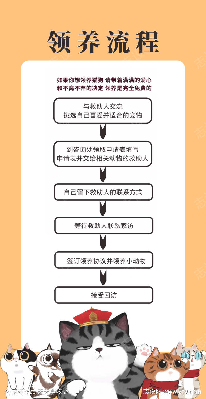 宠物领养流程图