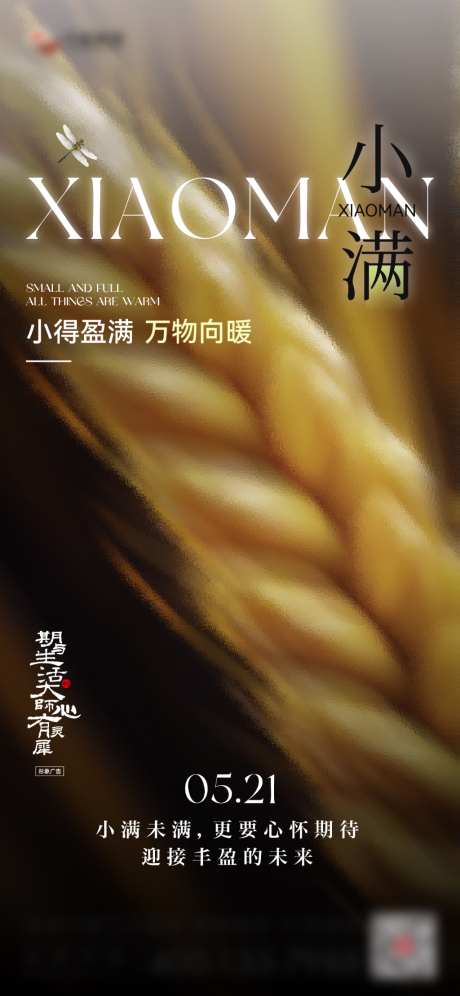 小满节气海报