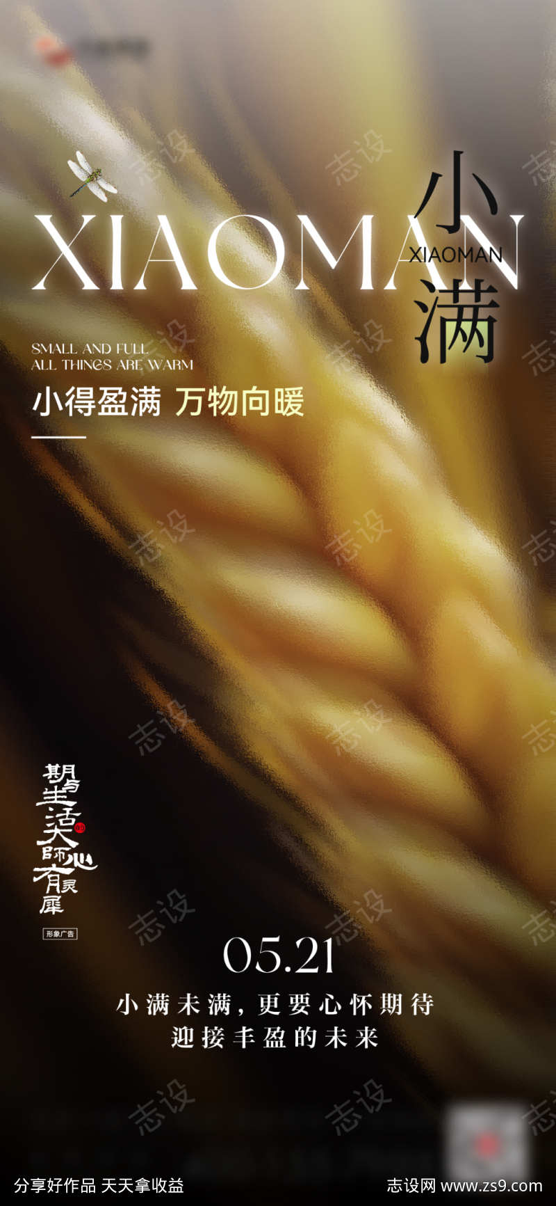小满节气海报