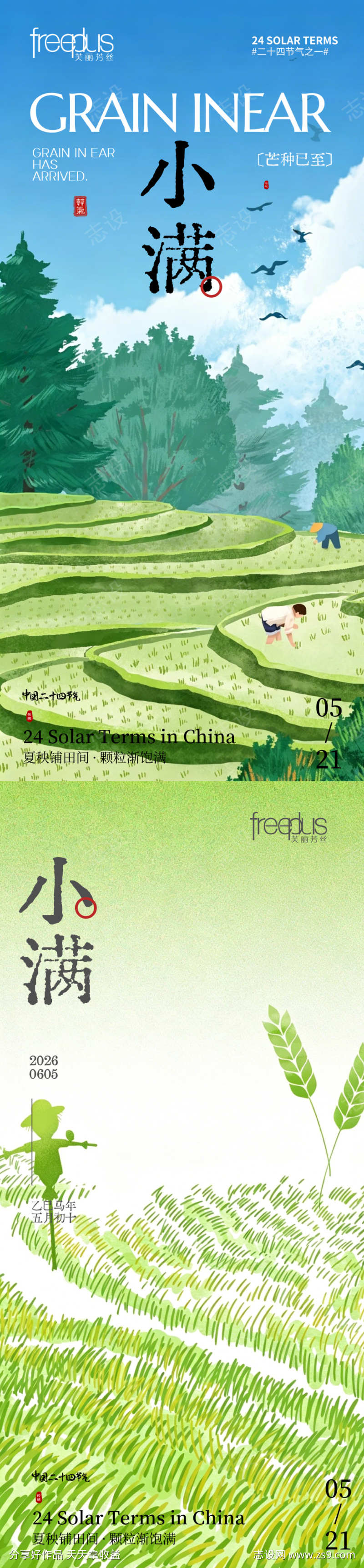 小满节气海报