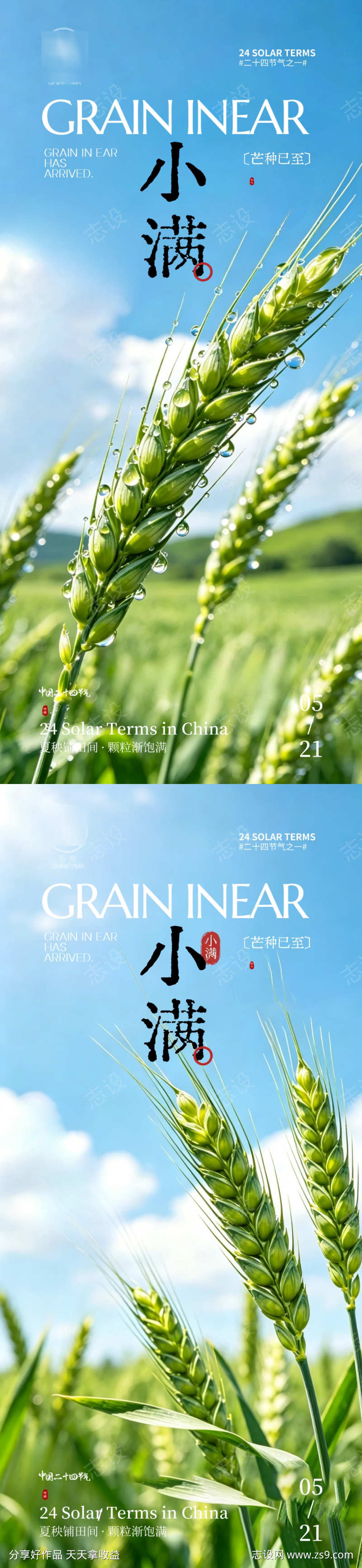 小满节气海报