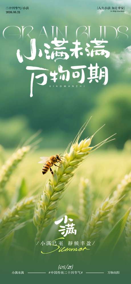 田园风小满节气海报