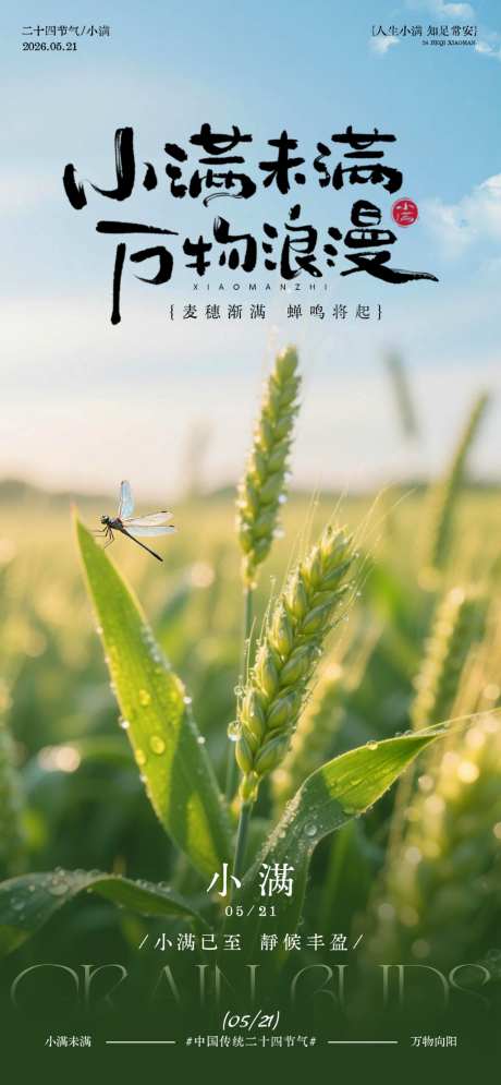 小满时节麦田风光摄影海报
