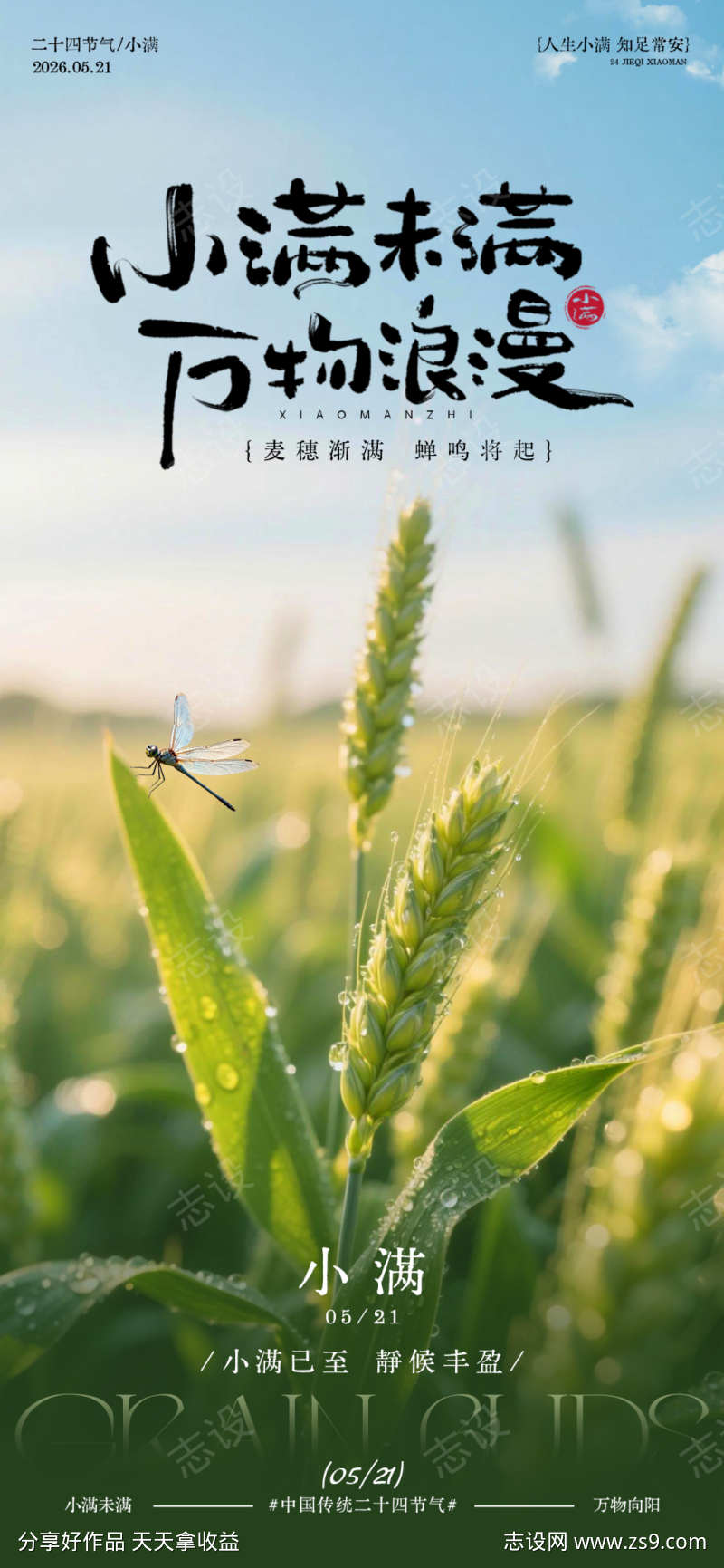 小满时节麦田风光摄影海报