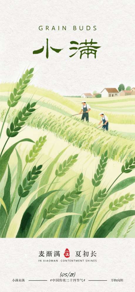 小满节气农田劳作插画海报