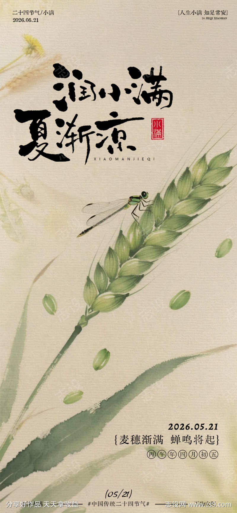 水墨风小满节气麦穗海报