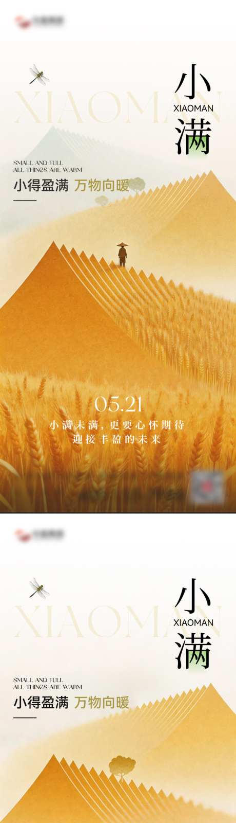 小满节气海报
